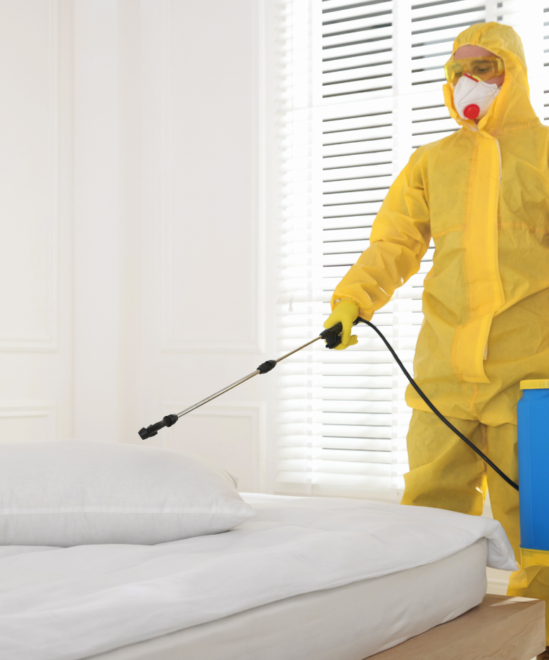 Professional Pest Control Team in Dry Creek